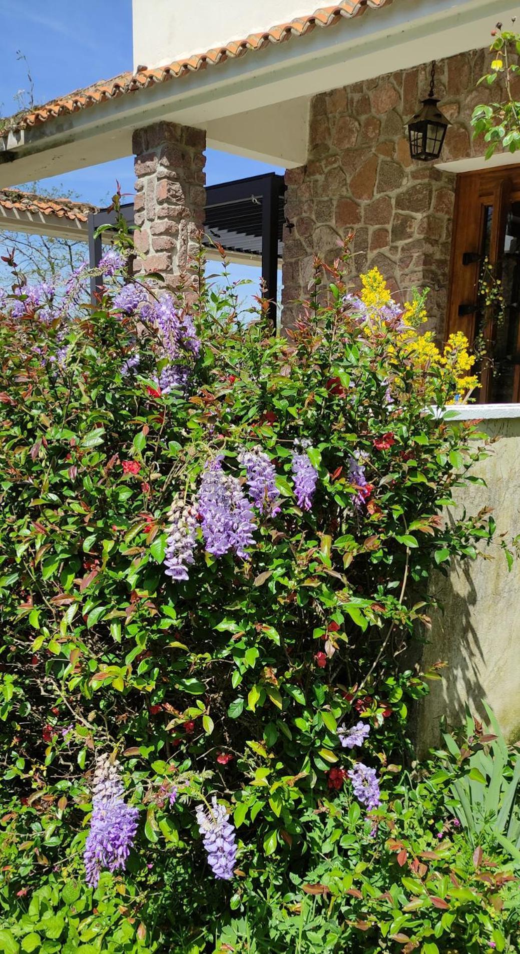 13 Bees Bed & Breakfast Confolens Luaran gambar