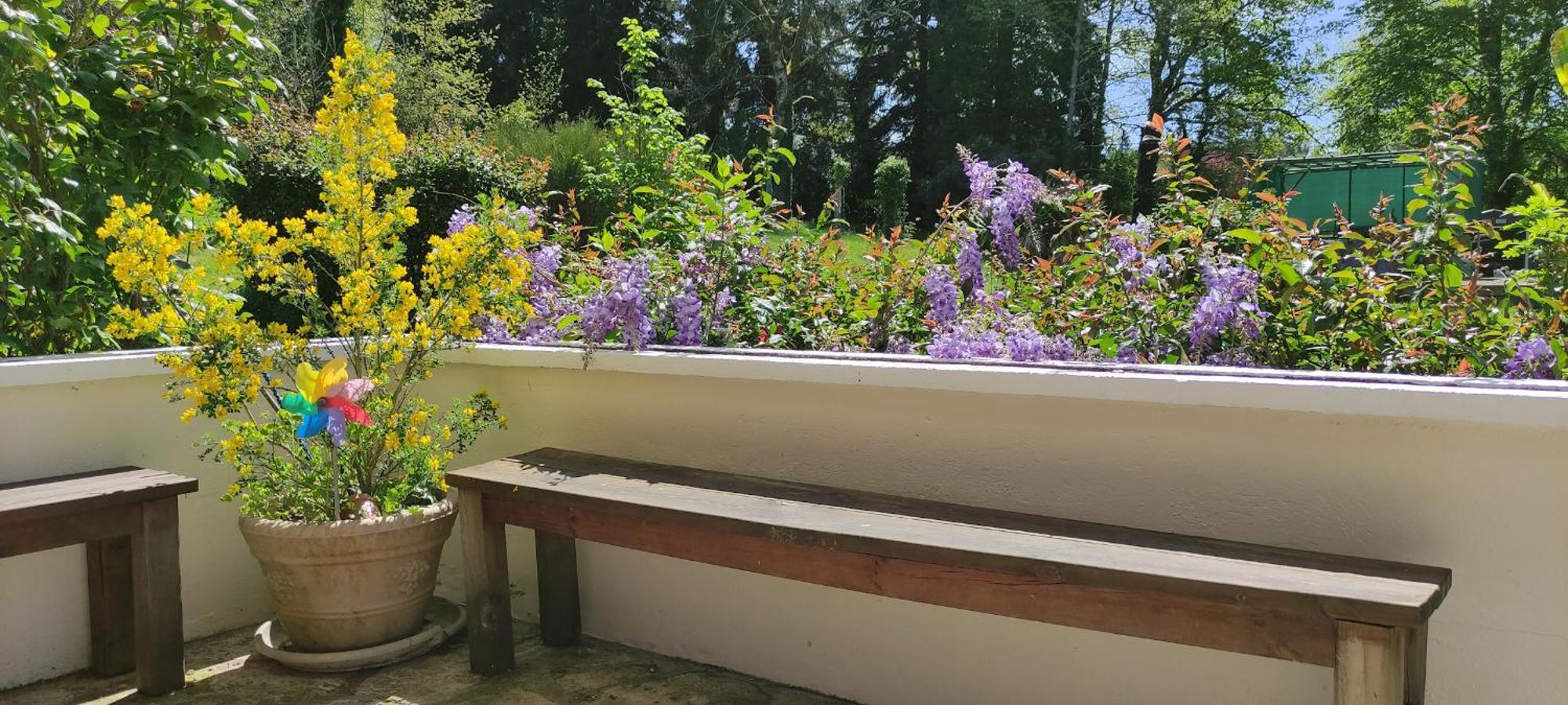 13 Bees Bed & Breakfast Confolens Luaran gambar