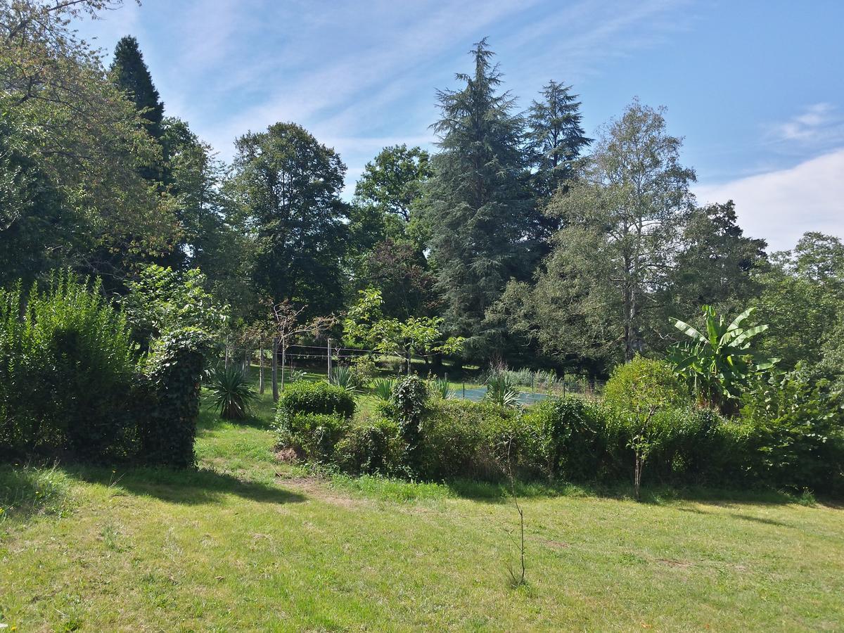13 Bees Bed & Breakfast Confolens Luaran gambar
