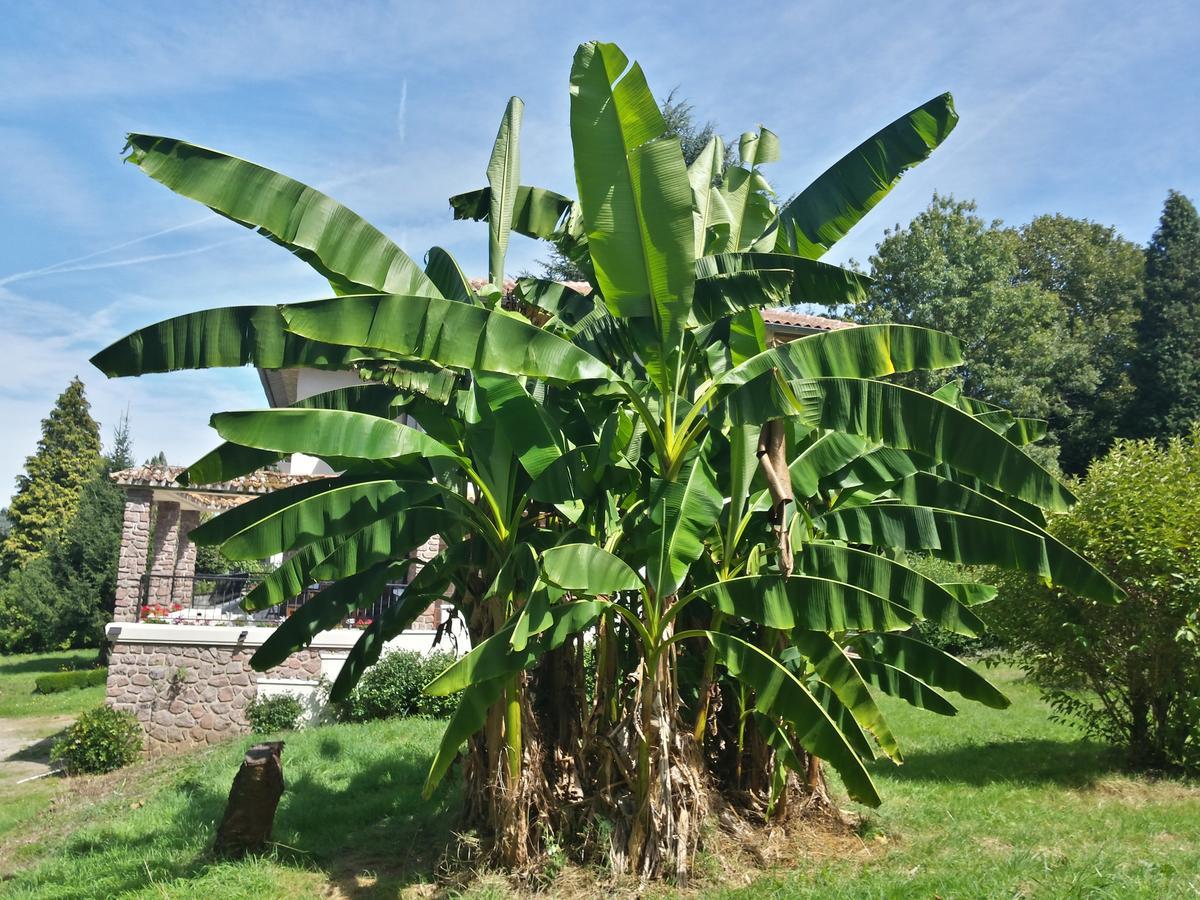 13 Bees Bed & Breakfast Confolens Luaran gambar